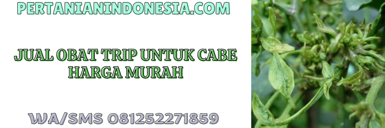 jual,murah,terjangkau,toko pertanian terdekat,pertanian indonesia